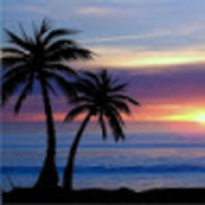 Meet your Posher, Emilee